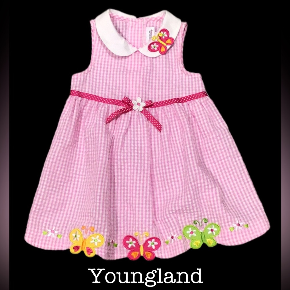 Youngland 2-Piece Gingham Dress with Butterfly Appliques, Pink &White, Size 24 M